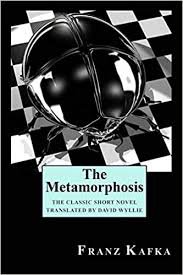 the metamorphosis - Google Search