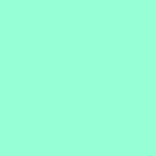 Solid-color Aqua/Mint Background
