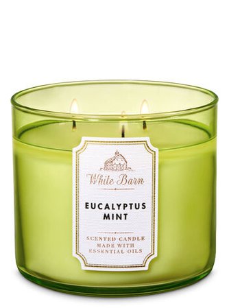 *clipped by @luci-her* Eucalyptus Mint 3-Wick Candle | Bath & Body Works