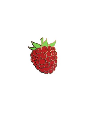 raspberry pin