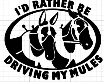 I’d rather be bumper sticker mule