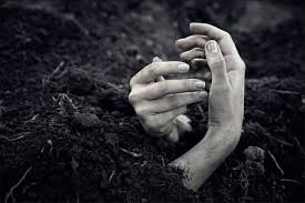 aesthetic dirt buried photography - Google Search