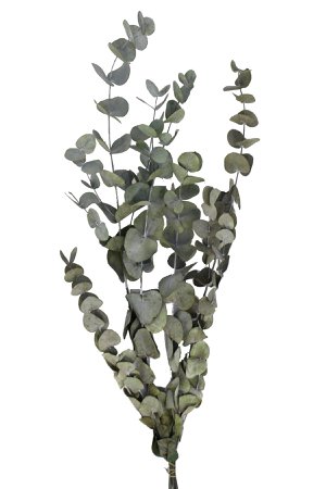 Yapay Çiçek Deposu Şoklanmis Okaliptus Demeti Yeşil(Büyük Demet) | Trendyol