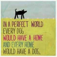 Rescue Dog Poster - Pinterest