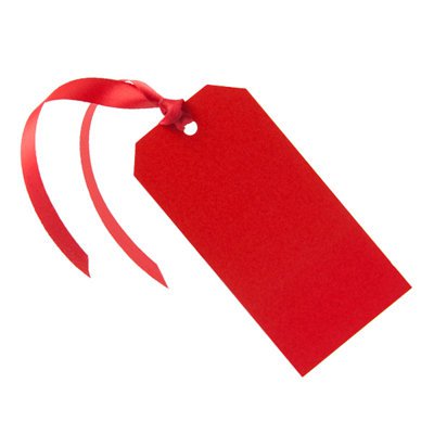 Pearlised Red Luggage Gift Tag - GiftBagShop.co.uk