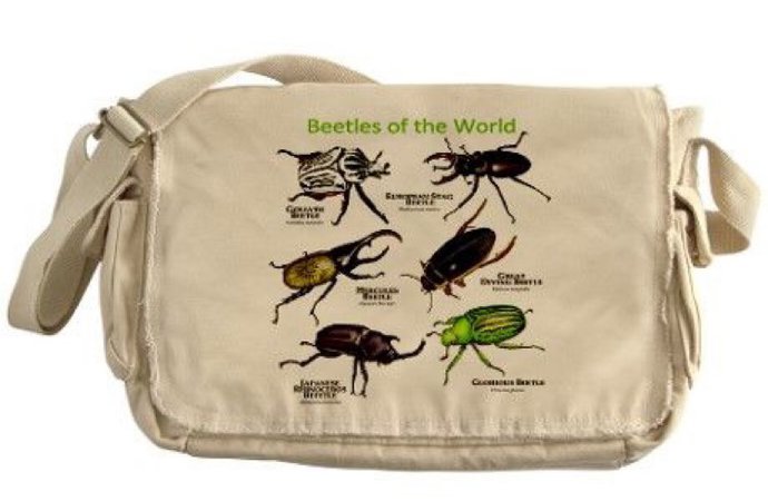 bag "beetles of the world"