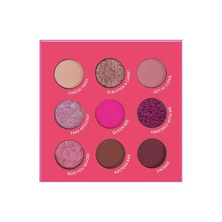 Mean Girls 9 Shade Palette | Profusion Cosmetics