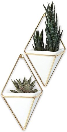 Umbra Trigg Hanging Planter & Geometric Wall Decor (Small, Set of 2) - Great For Succulent Plants, Air Plant, Mini Cactus, Fake Plants and More, Concrete Resin/Copper: Amazon.ca: Home & Kitchen