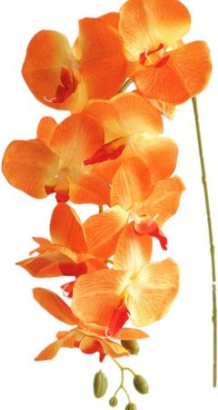 jiumengya 5pcs Orange Color Moth Orchids Wedding Decorative Artificial Flowers (Orange) : Home & Kitchen