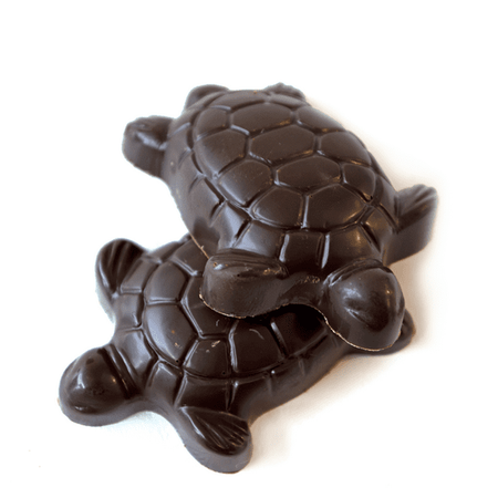 chocolate turtle