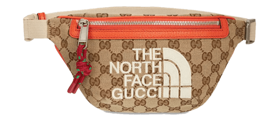 Gucci Northface Coat