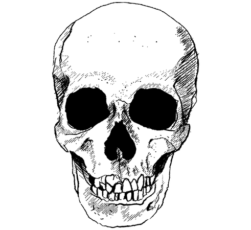 Arquivos PSD, vetores e gráficos de Vector Skull Free gratuitos