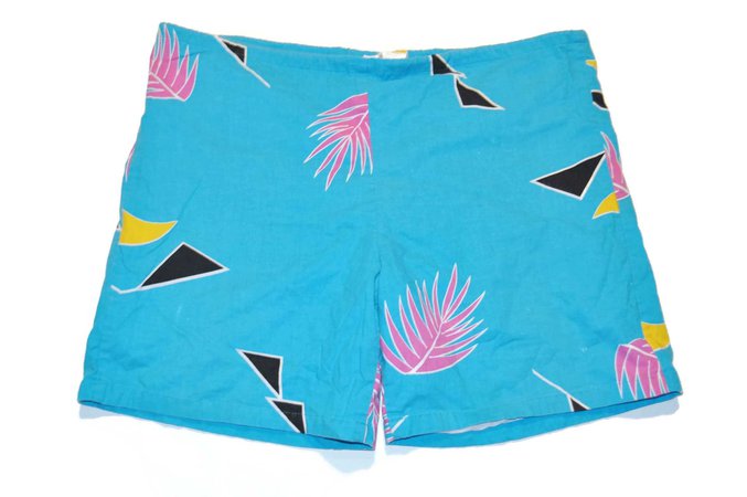 Vintage 1980's Men's Shorts Hilo Hattie's Swim