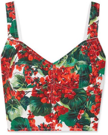 Floral-print Cady Bustier Top - Red