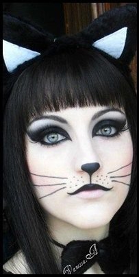 Cat whiskers makeup