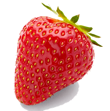 23343-7-strawberry-image.png (1000×1011)