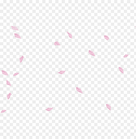 sakura petals flower floral falling floating pink - sakura petals PNG image with transparent background | TOPpng