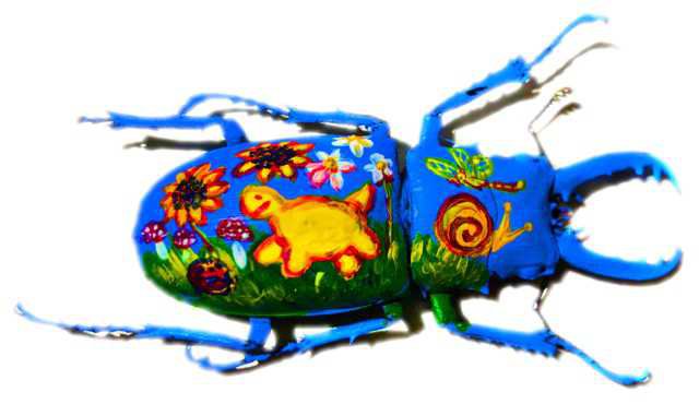 painted beetle
