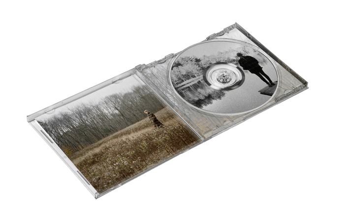 Taylor Swift | evermore album deluxe edition cd – Platenzaak.nl