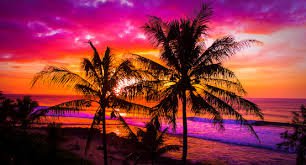hawaii sunset pink and purplr - Google Search