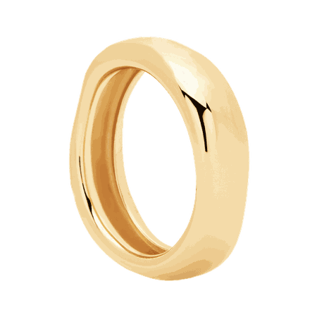 Aria ring