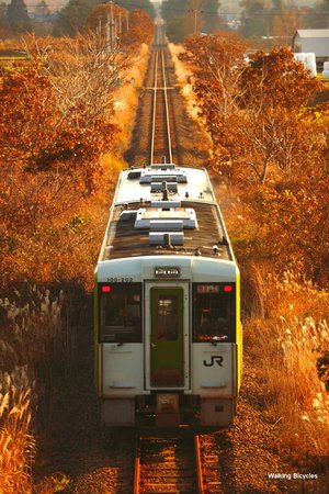 Train nature japan