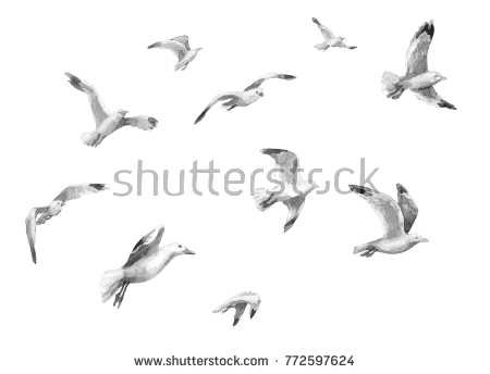 beach gulls flying water color - Google Search