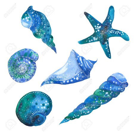 75157913-blue-seashells-watercolor-illustration-on-white-background.jpg (1300×1300)