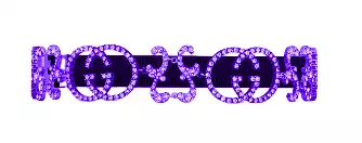 Embellished Belt - Purple
