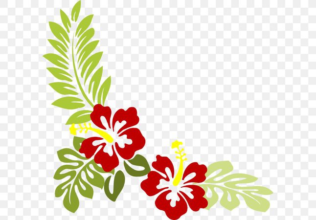 Shoeblackplant Flower Mallows Hawaiian Hibiscus Clip Art, PNG, 600x571px, Shoeblackplant, Cut Flowers, Flora, Floral Design, Floristry Download Free