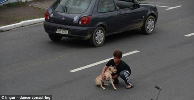 Kid Saving dog in Traffic