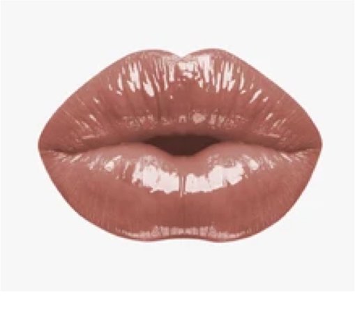 Glossy Brown Lips