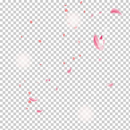 cherry-blossom-video-icon-cherry-blossom-petals-floating-decorative-material.jpg (728×728)