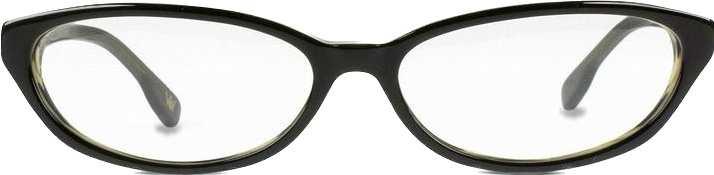 cheaters cat-eye glasses