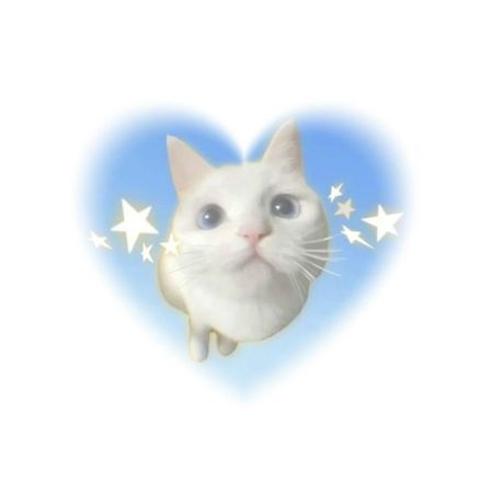 cat blue heart cute png