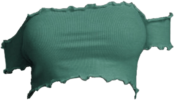 Green Slytherin Crop Top