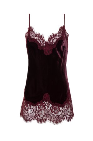 Burgundy Camisole Red Lace