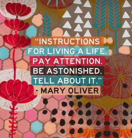 Mary Oliver quote: Pay attention