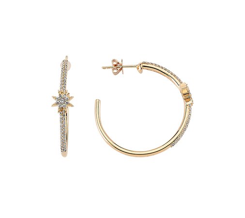 Venus Star Earring | Earrings | Products | BEE GODDESS