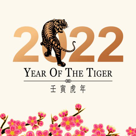 year of the tiger font - Google Search
