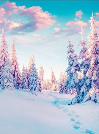 Pastel Winter