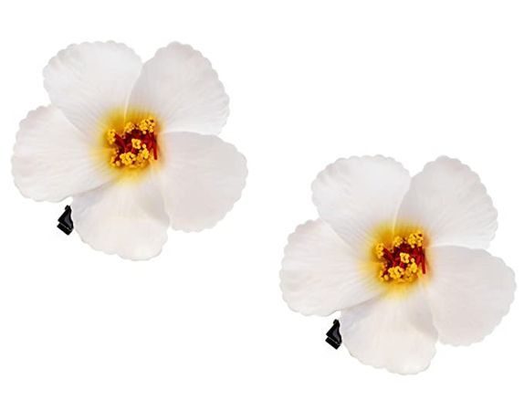 Amazon.com : Love Sweety 2pc Hawaiian Plumeria Hair Clips Galsang Flower Barrettes for Beach Party (White) One Size : Beauty & Personal Care