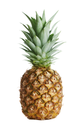 5551081-pineapple-no-background-google-search-pineapples-baby-food-pineapple-no-background-1106_1736_preview.png (1106×1736)