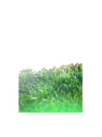 grass png background green
