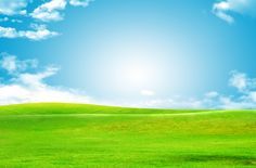 Sky and Grass Outdoor Background
