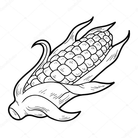 Google Image Result for http://iso-tech.co/wp-content/uploads/2019/07/draw-corn-candy-corn-coloring-pages-ear-of-page-how-to-draw-colouring-cornucopia-pa-fun-to-draw-corn-dog.jpg