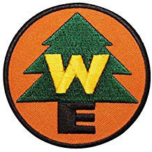 Amazon.co.uk: wilderness explorer disney scout iron on badge patch up craft accessory applique