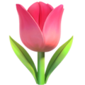 🌷 Tulip Emoji (Apple)