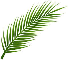 summer tree leaves clip art - Google Search
