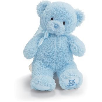 💐 Belgrade Blue Teddy Bear Delivery | Small Blue Teddy | FLOWER DELIVERY BELGRADE - ONLINE FLORIST BELGRADE